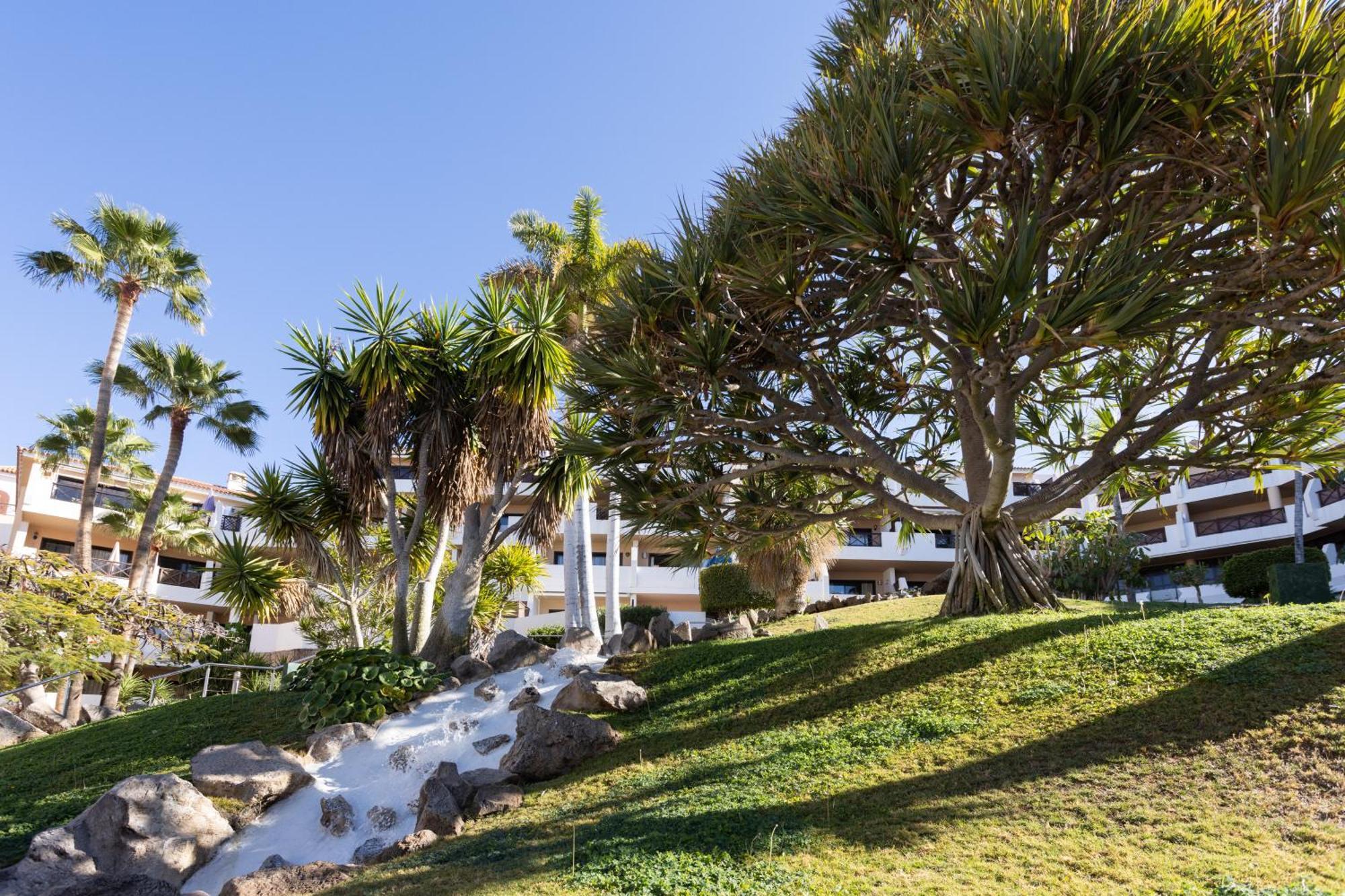 Albatros 433B Holiday Home In Tenerife South San Miguel de Abona Buitenkant foto